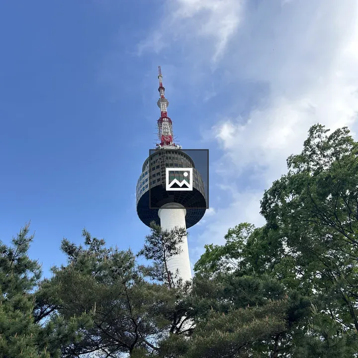 Seoul Tower with Trees