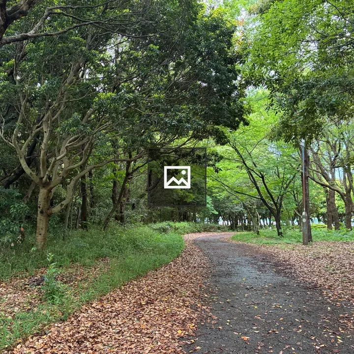 Winding forest path at Chiba Port Park