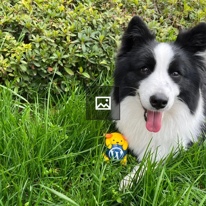 Wapuu and puppy on green grass