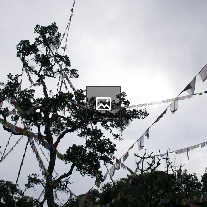 Trees and Prayer Flags
