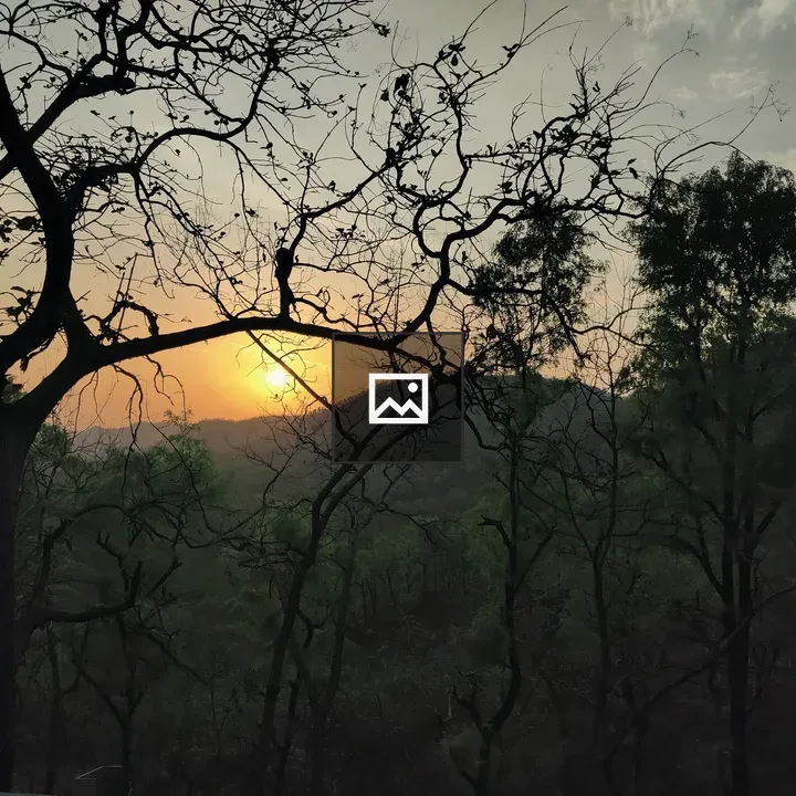 Sunset with silhouetted trees