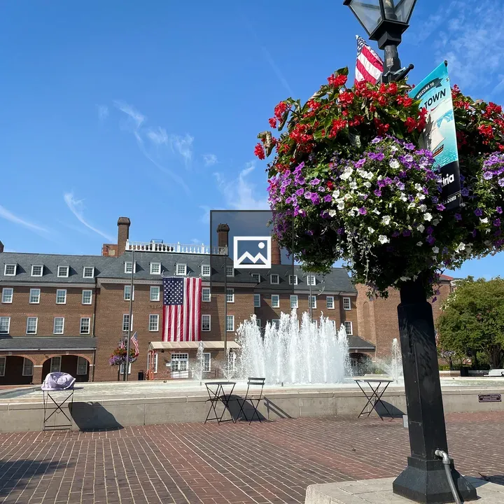 Baskets of Flowers on Lamppost