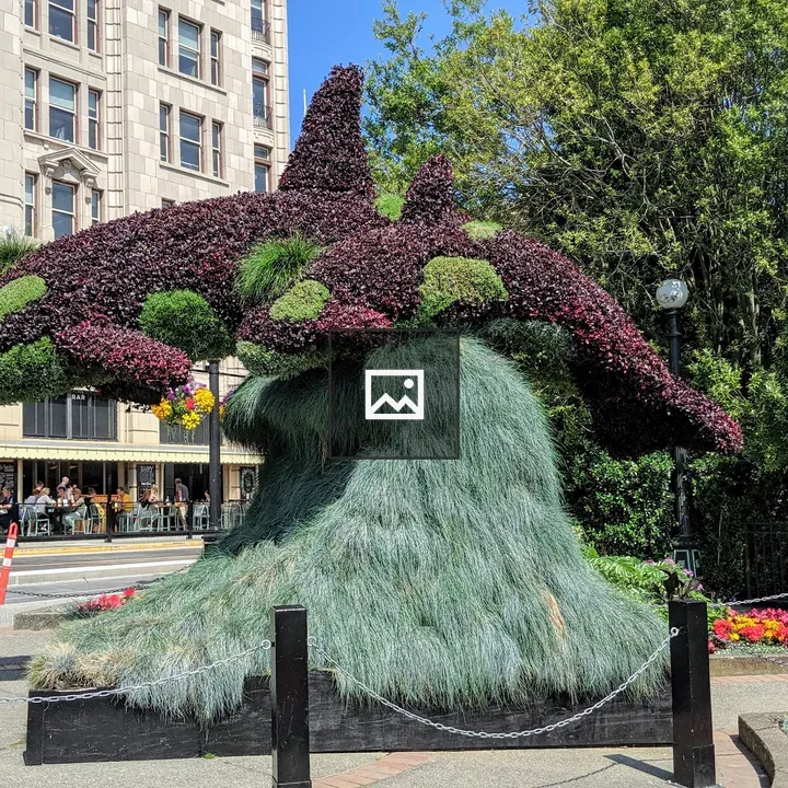 Killer Whale Topiary in Victoria