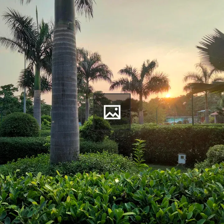 Garden with Palm Trees at Sunset