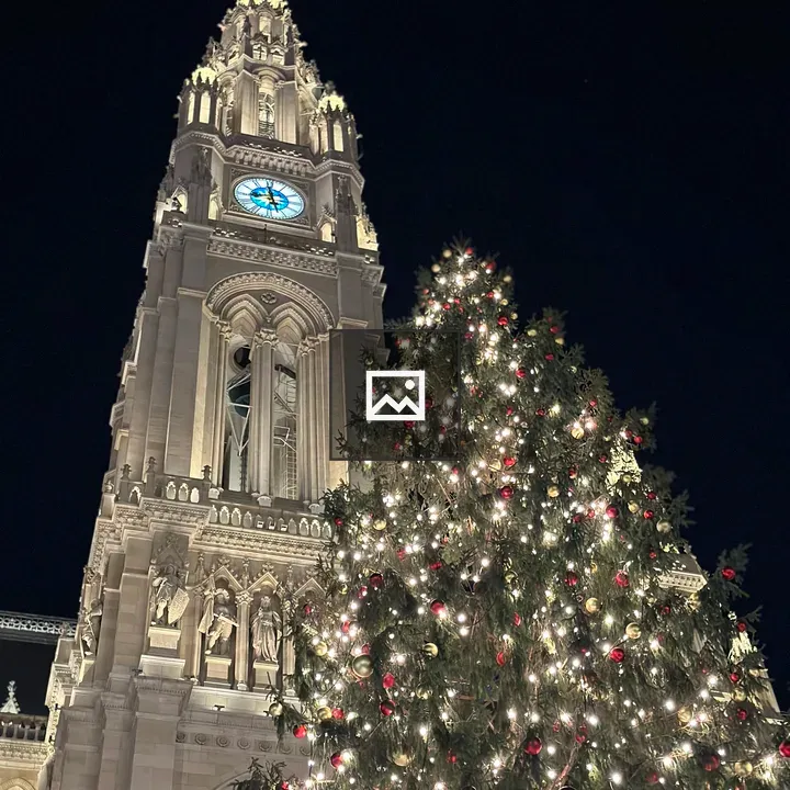 Christmas Tree at Rathaus Vienna