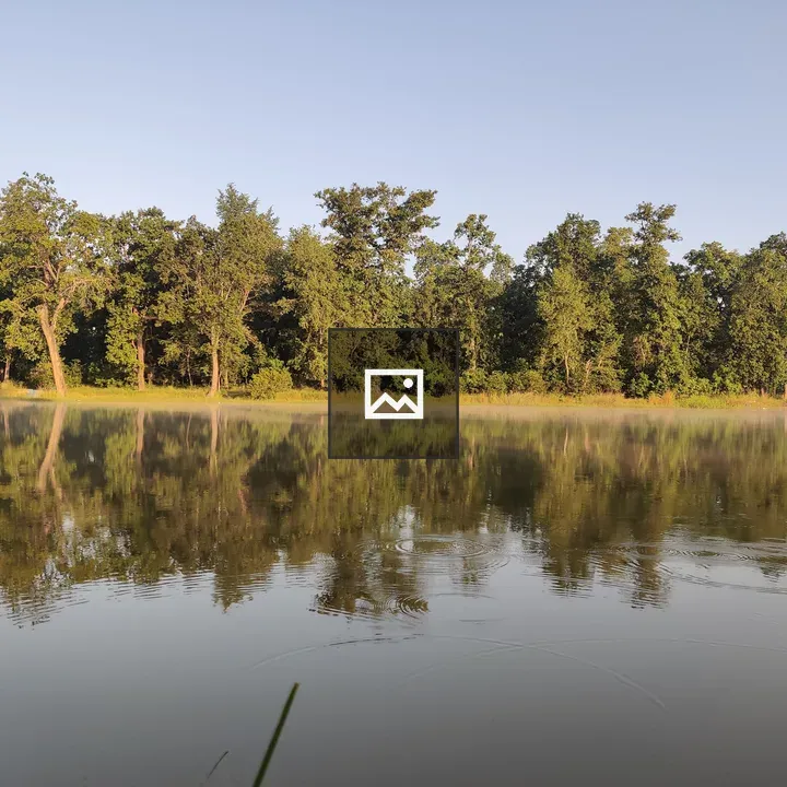 Looking Across the Water to Trees