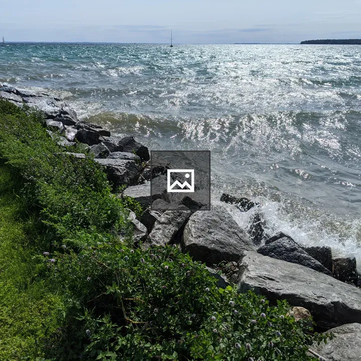 Lake Michigan Waves