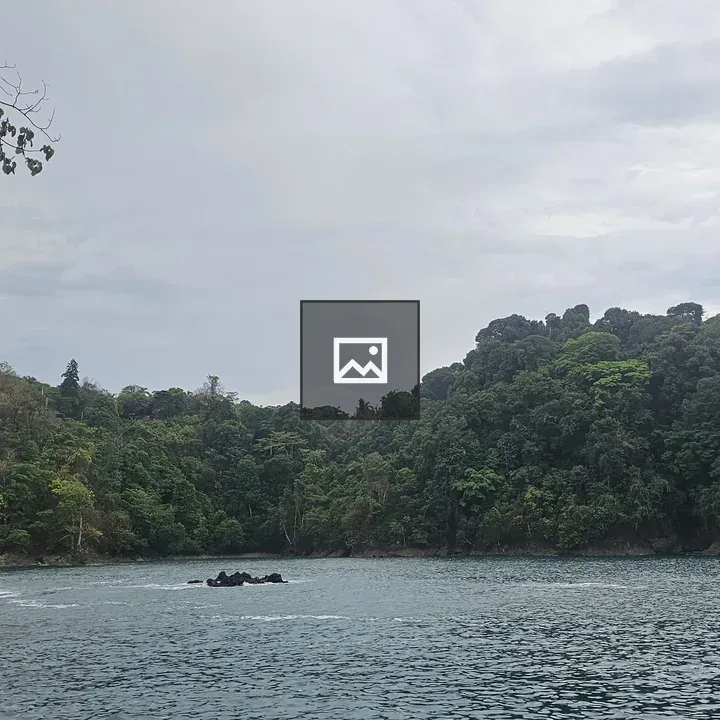 Panoramic Coast at Manuel Antonio