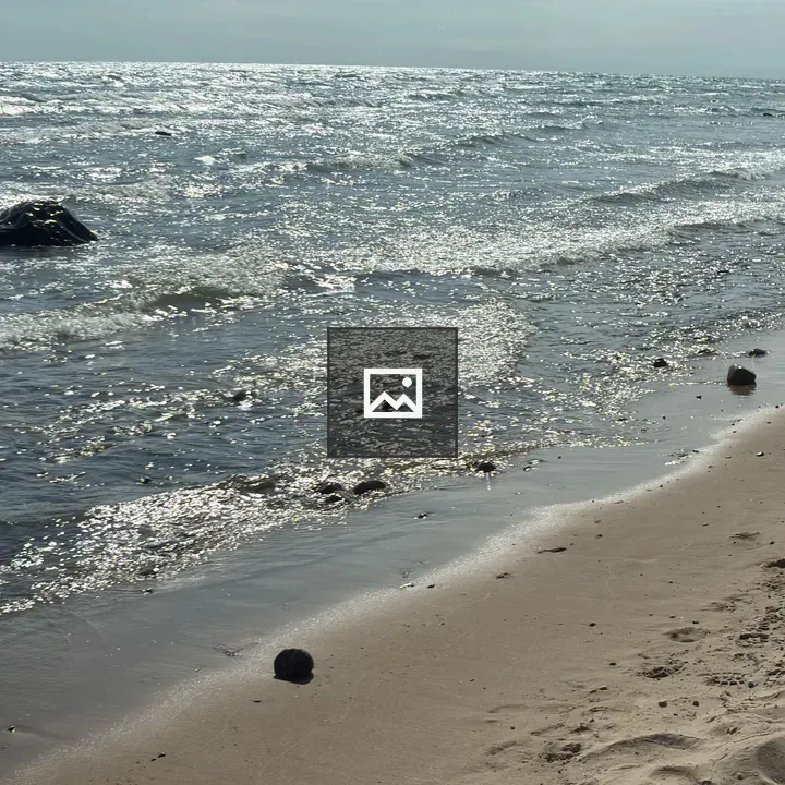 Beach shoreline with driftwood