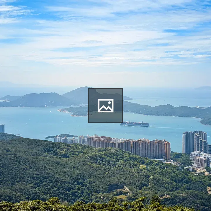 Victoria Peak View from Above