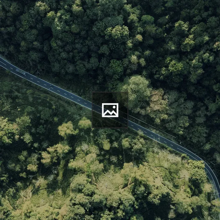 Aerial road through Sreemangal forest