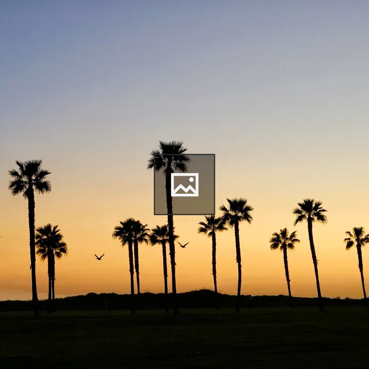Sunset by the Beach