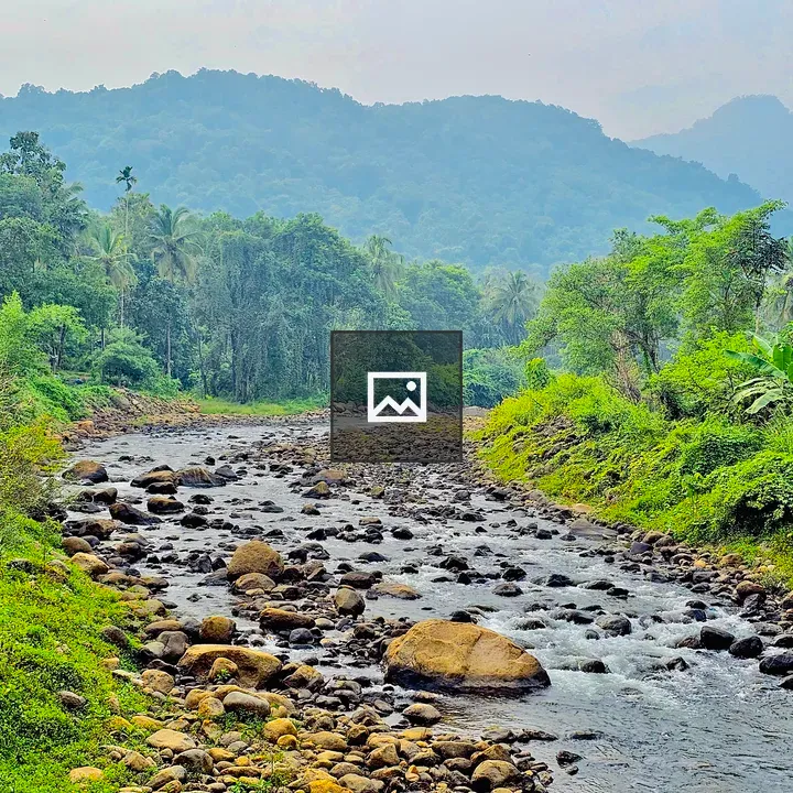River and Jungle Landscape