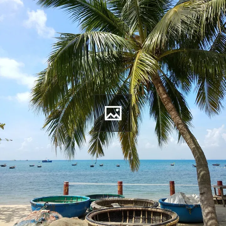 Palm Tree and Boats in Hoi An