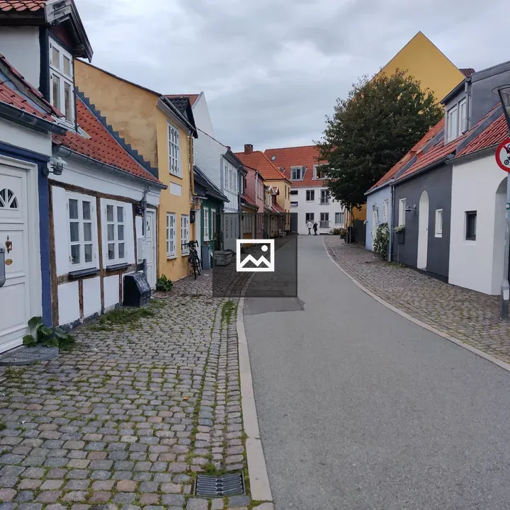 Cobbled Aalborg Street