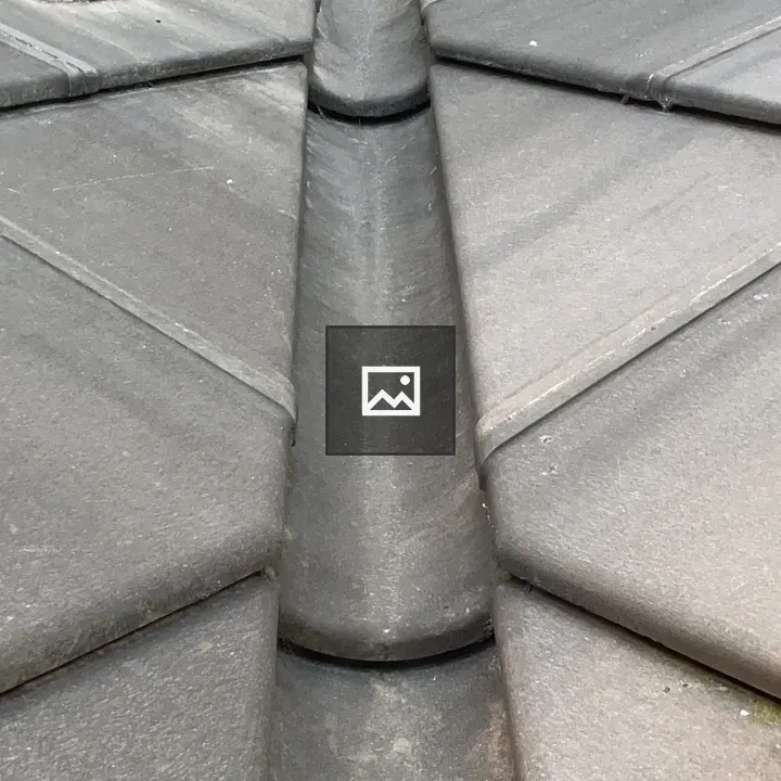 Rain gutter and roof of Milan cathedral
