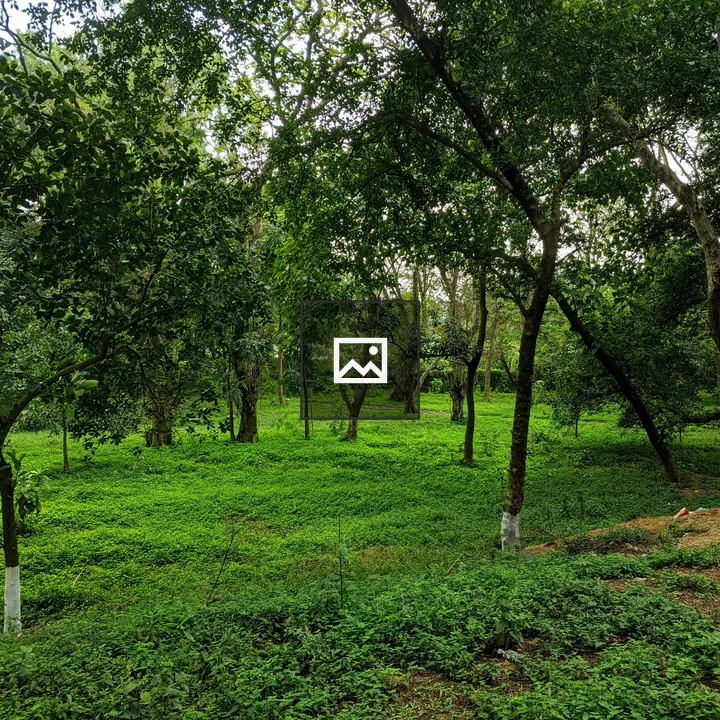 Bangladesh National Zoo trees