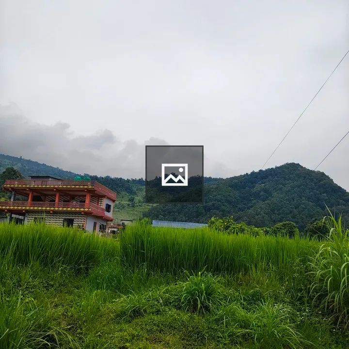 House on a tree-covered hill