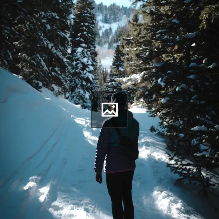 Person in Snowy Forest Beam