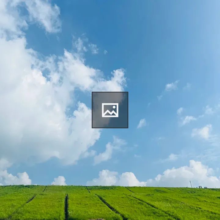 Sky and Grass