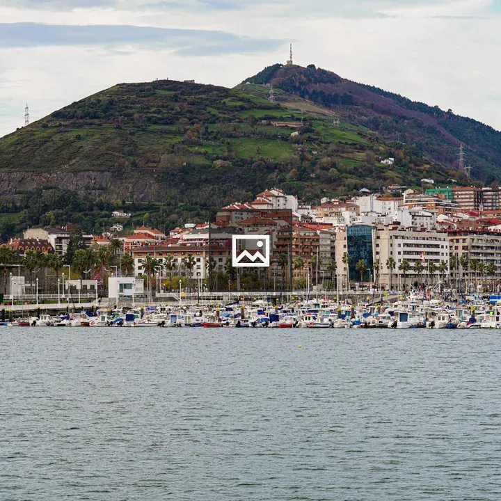 Coastal cityscape with marina