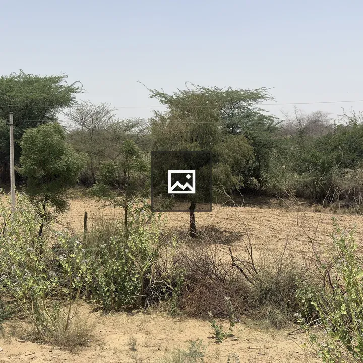 Dry rural landscape with power lines