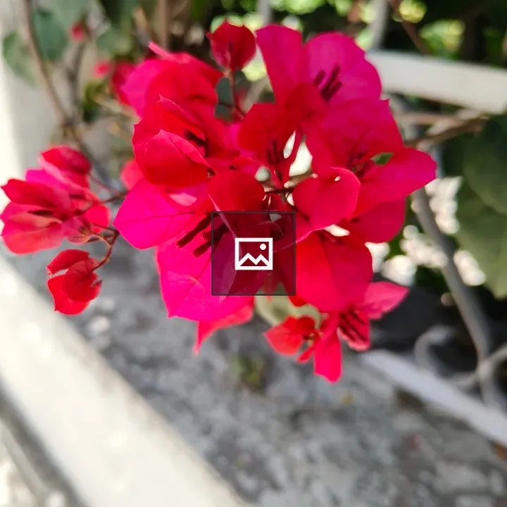 Red Flowers Portrait