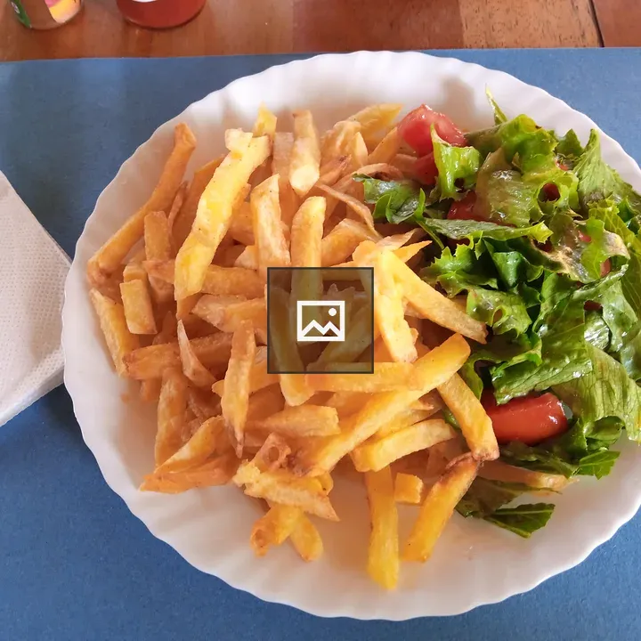French fries with salad on plate
