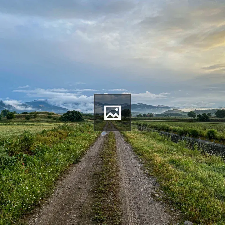 Dirt Path Through Green Field