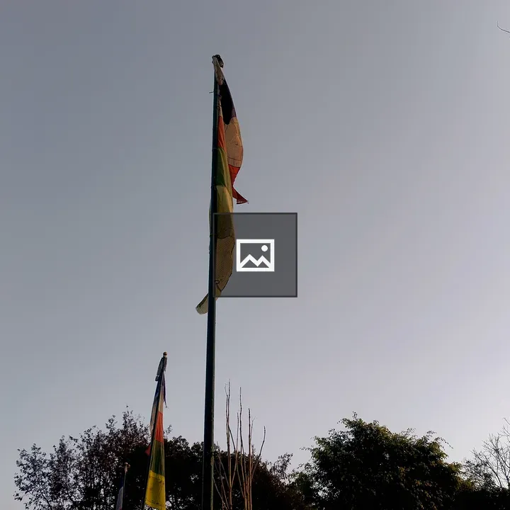 Flagpole with Colorful Flags
