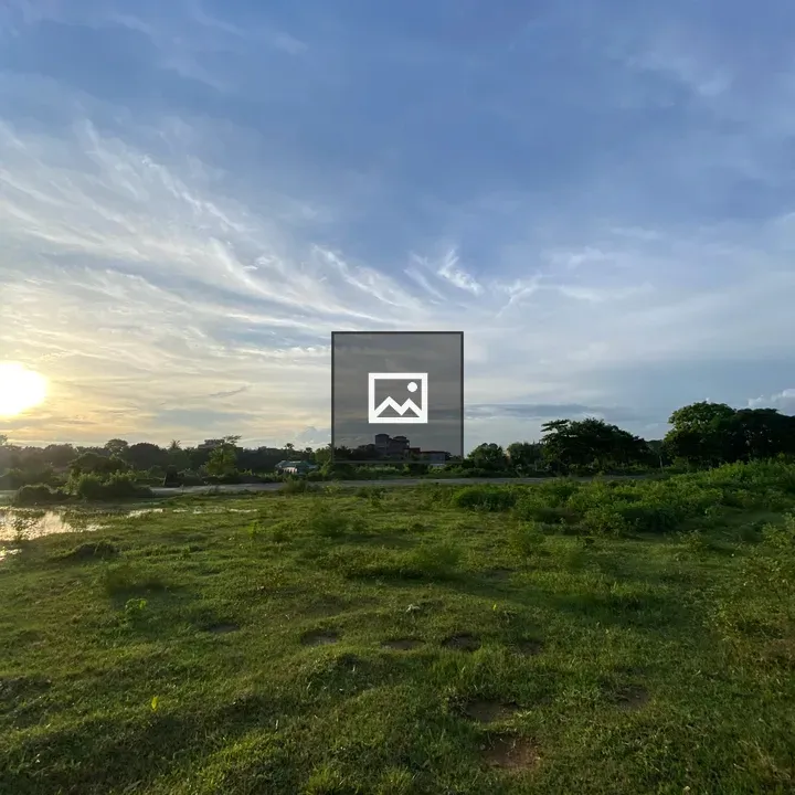Grassy field landscape