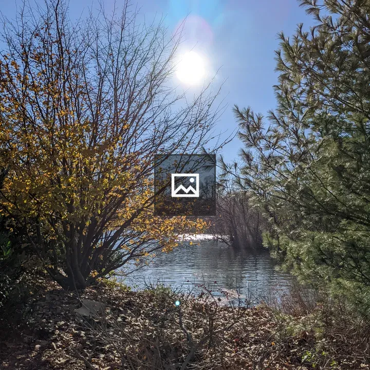 Sunrise Over Pond With Trees