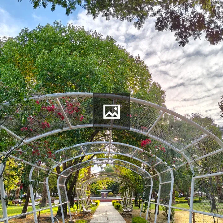 Arched Pathway Garden