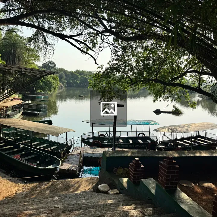 Calm lake with boats and trees