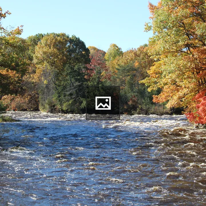 River and early autumn trees