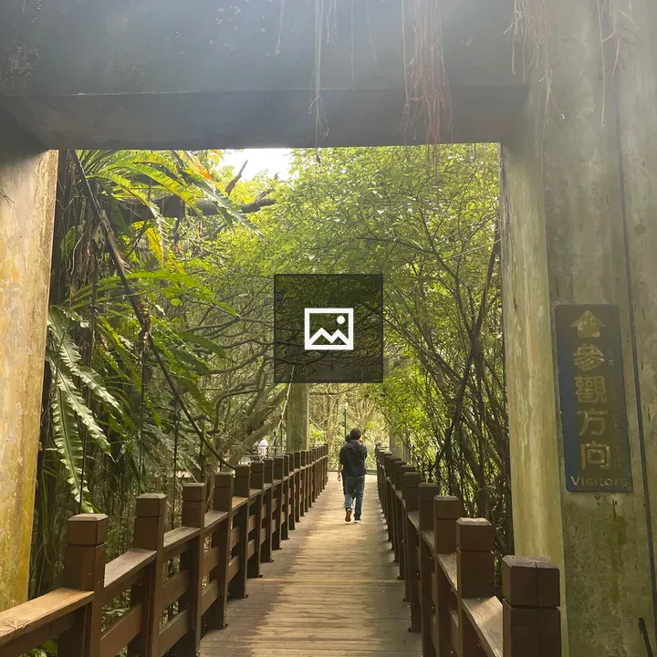 People on Wooden Bridge in Taipei Zoo
