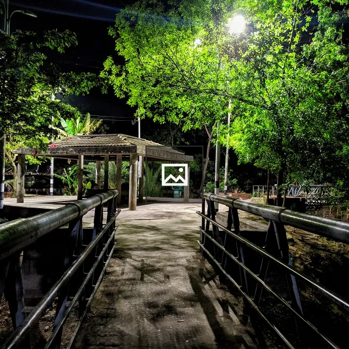 Wooden bridge under stars