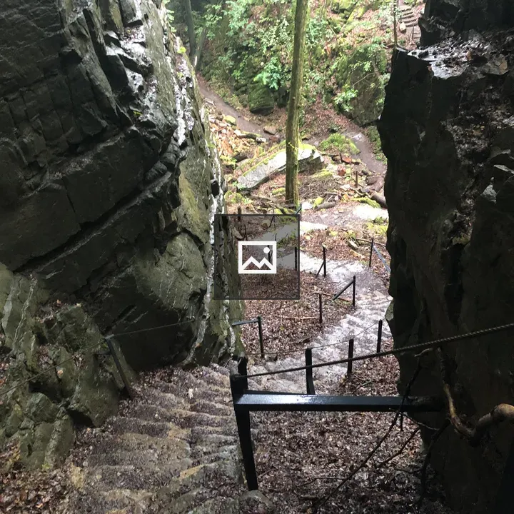 Stairs downwards in the forest