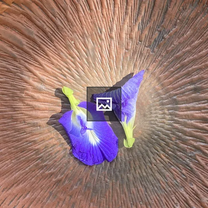 Two Purple Flowers on Rust Surface