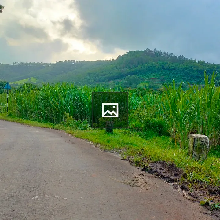 Road to a Village in Hills