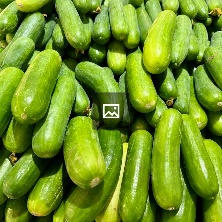 Pile of fresh cucumbers
