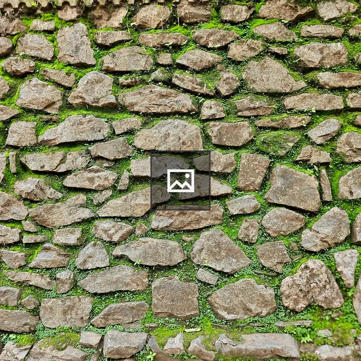 Rustic Mossy Stone Wall