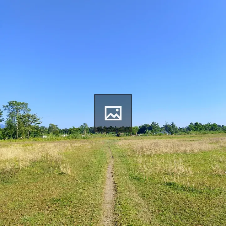 Narrow dirt path through grassy field