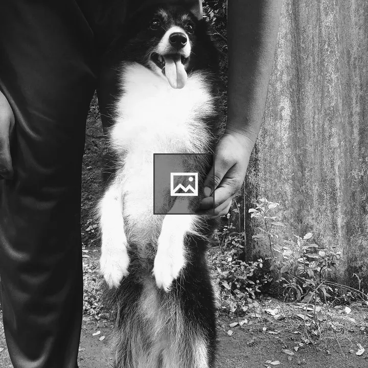 Man with his dog