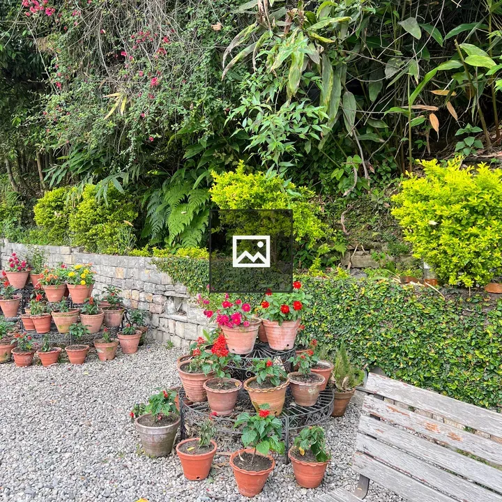 Terraced Flower Pot Display