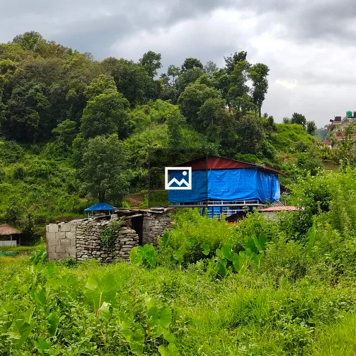 Landscape hillside with greenery