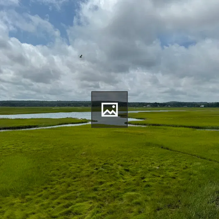 Grassy Wetland with Sky