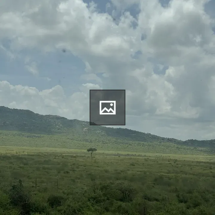 Acacia Tree in Green Plain