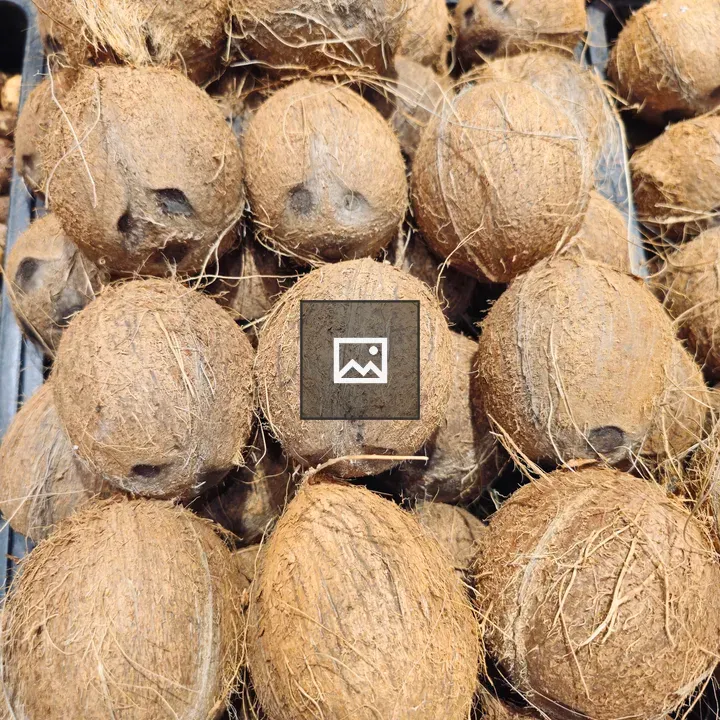 Pile of brown coconuts