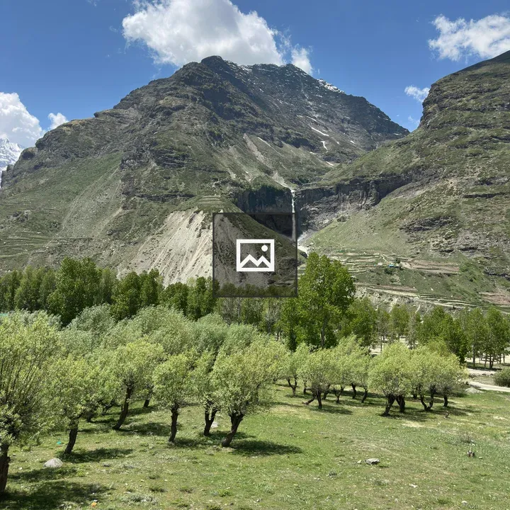 Apple trees and mountain valley